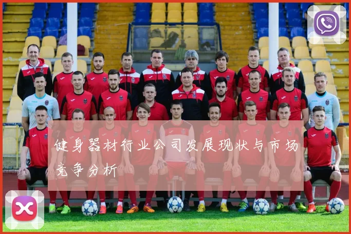 健身器材行业公司发展现状与市场竞争分析