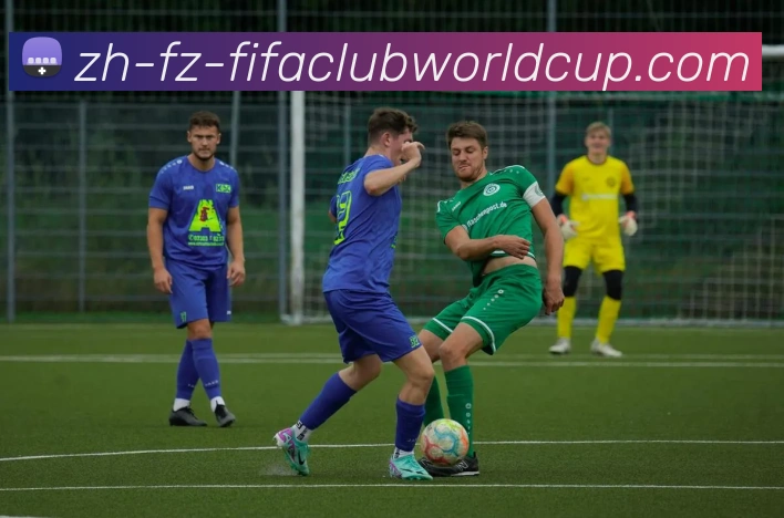 多媒体互动体验