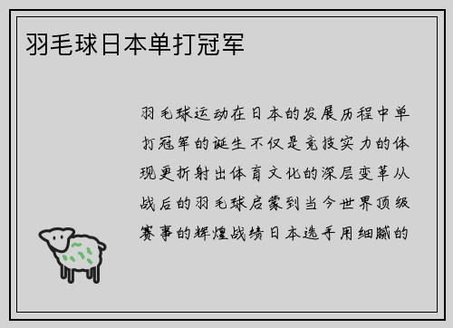 羽毛球日本单打冠军